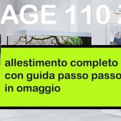 CASA DEL VETRO Vasca E Allestimento Zen Con Accessori 10 CASA DEL VETRO Vasca E Allestimento Zen Con Accessori -Vendite Cibo per i pesci xbanner guidamodelli.jpg.pagespeed.ic .WeI4Q fBJY