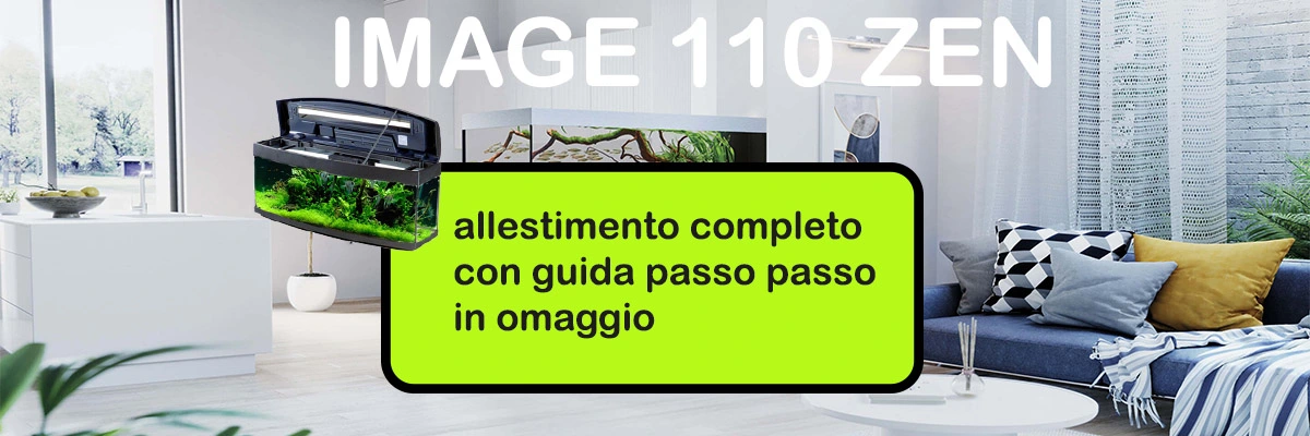 CASA DEL VETRO Vasca E Allestimento Zen Con Accessori 6 CASA DEL VETRO Vasca E Allestimento Zen Con Accessori - immagine 4