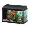 Acquario Capri 50 Ferplast LED 40lt Con Allestimento -Vendite Cibo per i pesci xcapri50.JPG.pagespeed.ic . vBcQAX6Al