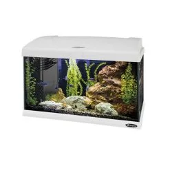 FERPLAST Acquario Capri Bianco Led 50 60 80 Completo Di Allestimento