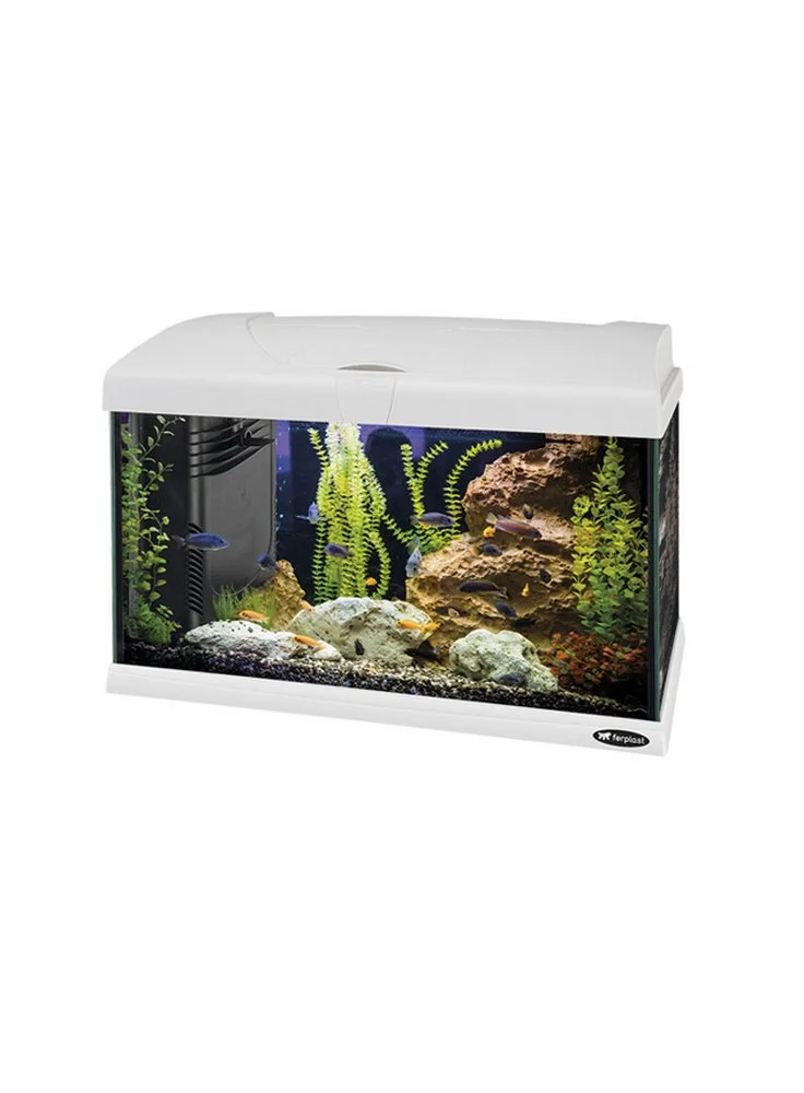 FERPLAST Acquario Capri Bianco Led 50 60 80 Completo Di Allestimento 3 FERPLAST Acquario Capri Bianco Led 50 60 80 Completo Di Allestimento