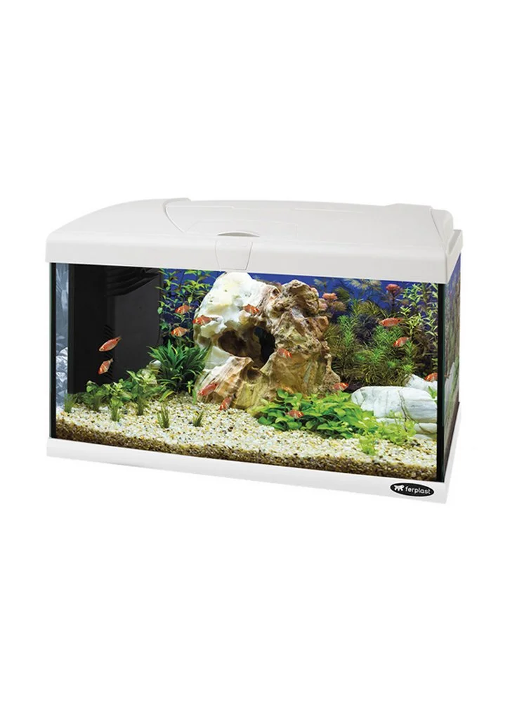 FERPLAST Acquario Capri Bianco Led 50 60 80 Completo Di Allestimento 4 FERPLAST Acquario Capri Bianco Led 50 60 80 Completo Di Allestimento - immagine 2