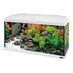 FERPLAST Acquario Capri Bianco Led 50 60 80 Completo Di Allestimento 11 FERPLAST Acquario Capri Bianco Led 50 60 80 Completo Di Allestimento -Vendite Cibo per i pesci xcapri80ledbianco.jpg.pagespeed.ic .32jJcUSzMB