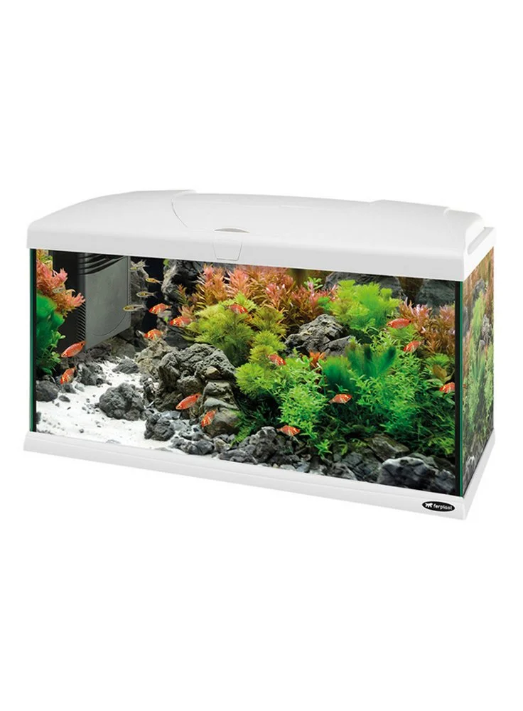 FERPLAST Acquario Capri Bianco Led 50 60 80 Completo Di Allestimento 5 FERPLAST Acquario Capri Bianco Led 50 60 80 Completo Di Allestimento - immagine 3