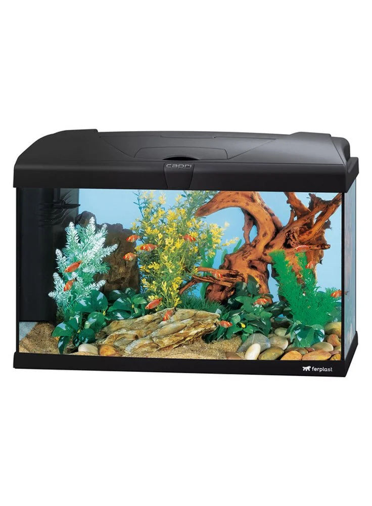 Acquario Capri 60 LED Ferplast Lt 60 3 Acquario Capri 60 LED Ferplast Lt 60