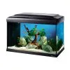 FERPLAST Acquario CAYMAN 60 Led -Vendite Cibo per i pesci xcayman60.JPG.pagespeed.ic .5VQHjDEIxT