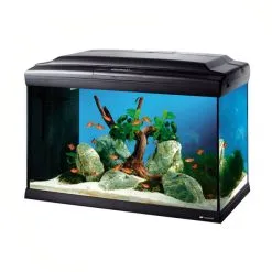 FERPLAST Acquario CAYMAN 60 Led