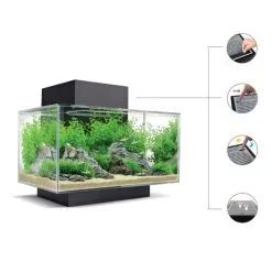 Nuovo Acquario Design Askoll Edge 2.0 23 Litri Luci A Led 14 Nuovo Acquario Design Askoll Edge 2.0 23 Litri Luci A Led -Vendite Cibo per i pesci xcoperchioedgefunzioni.jpg.pagespeed.ic .L7hFulGesy