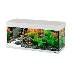 FERPLAST Acquario Dubai 100 Led Bianco Nero