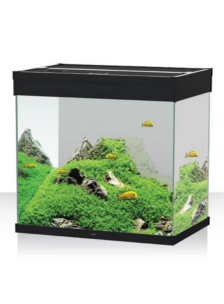 Askoll Emotion Pro Led 60 80 Bianco E Nero Con Filtro Pratiko 4 Askoll Emotion Pro Led 60 80 Bianco E Nero Con Filtro Pratiko - immagine 2