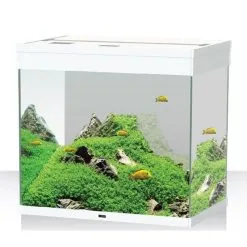 Askoll Emotion Pro Led 60 80 Bianco E Nero Con Filtro Pratiko