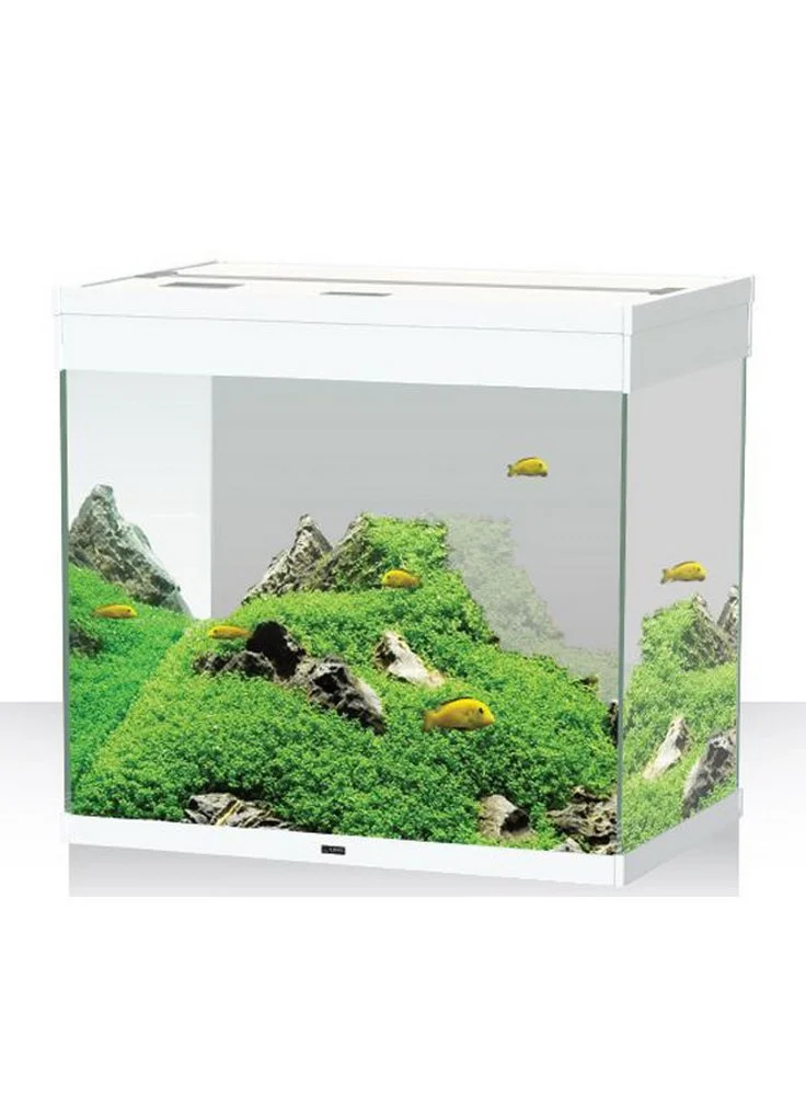 Askoll Emotion Pro Led 60 80 Bianco E Nero Con Filtro Pratiko 3 Askoll Emotion Pro Led 60 80 Bianco E Nero Con Filtro Pratiko