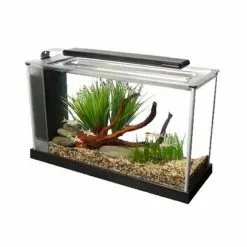 Askoll Acquario Fluval Spec 19lt Led -Vendite Cibo per i pesci xfluval spec V.2 copia.jpg.pagespeed.ic .K5FzOos81Q