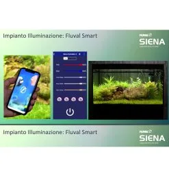 Acquario Askoll FLUVAL SIENA Con Supporto 16 Acquario Askoll FLUVAL SIENA Con Supporto -Vendite Cibo per i pesci ximageP20P281P29.jpg.pagespeed.ic .FiDci391od