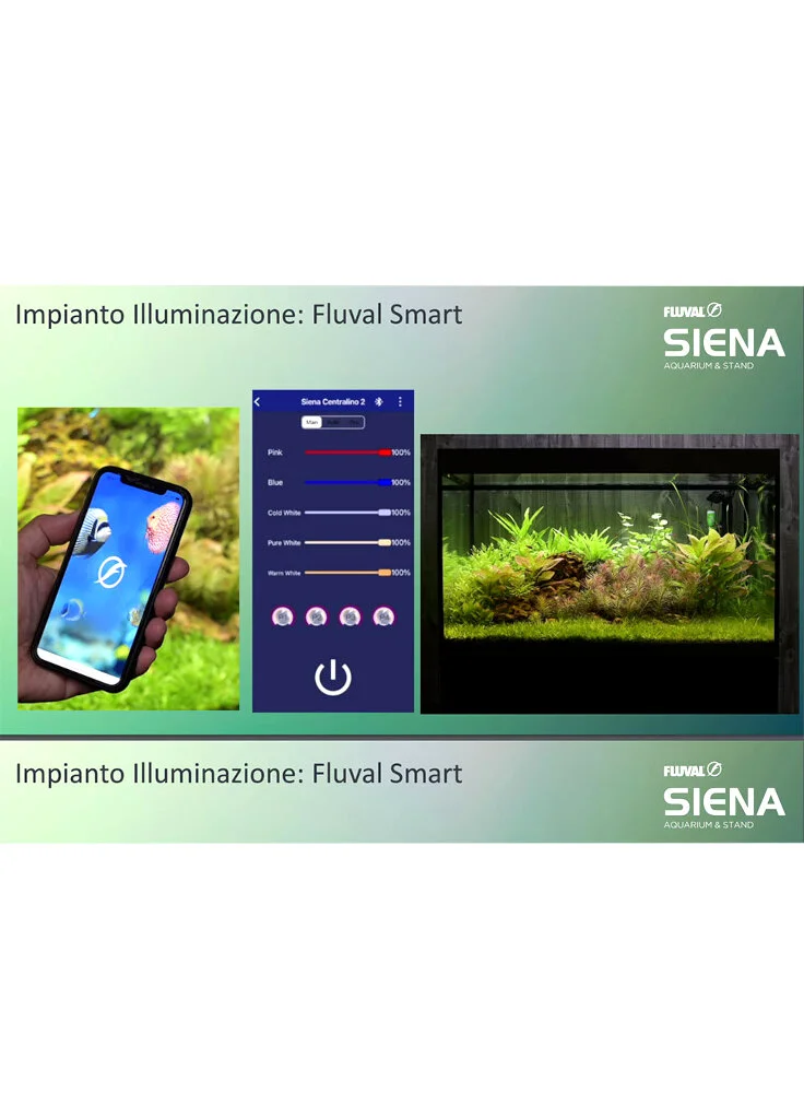 Acquario Askoll FLUVAL SIENA Con Supporto 8 Acquario Askoll FLUVAL SIENA Con Supporto - immagine 6