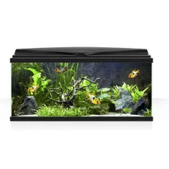 Askoll Acquario Ambiente Aqua 80 Led