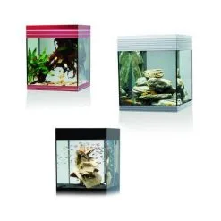 Askoll Pure M Acquario Design 11 Askoll Pure M Acquario Design -Vendite Cibo per i pesci xlineaP20kitP20m.jpg.pagespeed.ic .CwLiHTtTr5