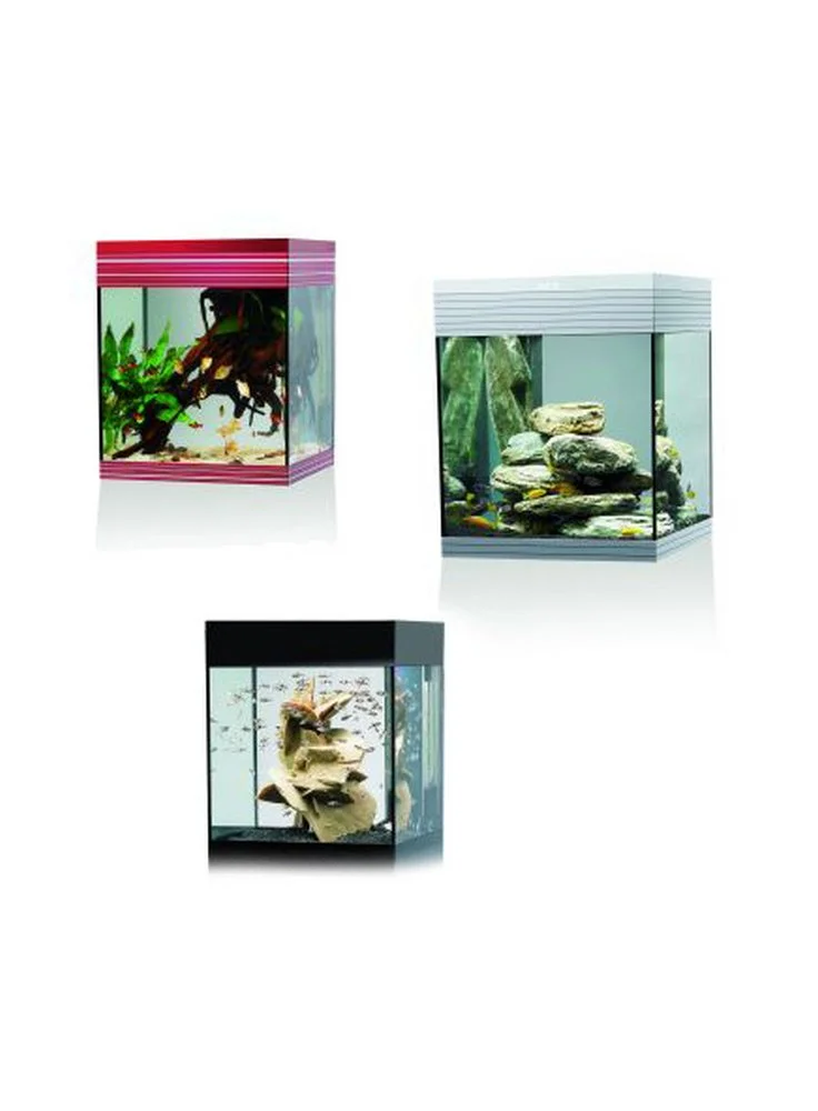 Askoll Pure M Acquario Design 7 Askoll Pure M Acquario Design - immagine 5