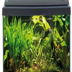 CASA DEL VETRO Acquario Milo 79 2x18W T8/T5
