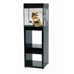 Askoll Pure M Acquario Design 8 Askoll Pure M Acquario Design -Vendite Cibo per i pesci xpuremnero.jpg.pagespeed.ic .6CSyCe0efO