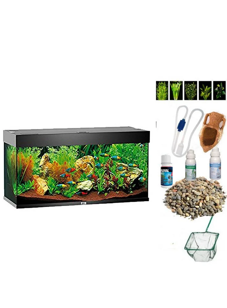 Acquario Juwel Rio 240 In Tre Diversi Colori 5 Acquario Juwel Rio 240 In Tre Diversi Colori - immagine 3