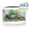 Juwel Acquario Trigon 190 Led Nero Bianco Darkwood 2 Juwel Acquario Trigon 190 Led Nero Bianco Darkwood -Vendite Cibo per i pesci xtrigon190bianco.jpg.pagespeed.ic .Gxa FR4 p