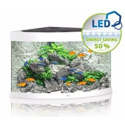 Juwel Acquario Trigon 190 Led Nero Bianco Darkwood