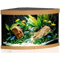 Juwel Acquario Trigon 190 Led Nero Bianco Darkwood 9 Juwel Acquario Trigon 190 Led Nero Bianco Darkwood -Vendite Cibo per i pesci xtrigon190jpg.jpg.pagespeed.ic .slipxpp4MT